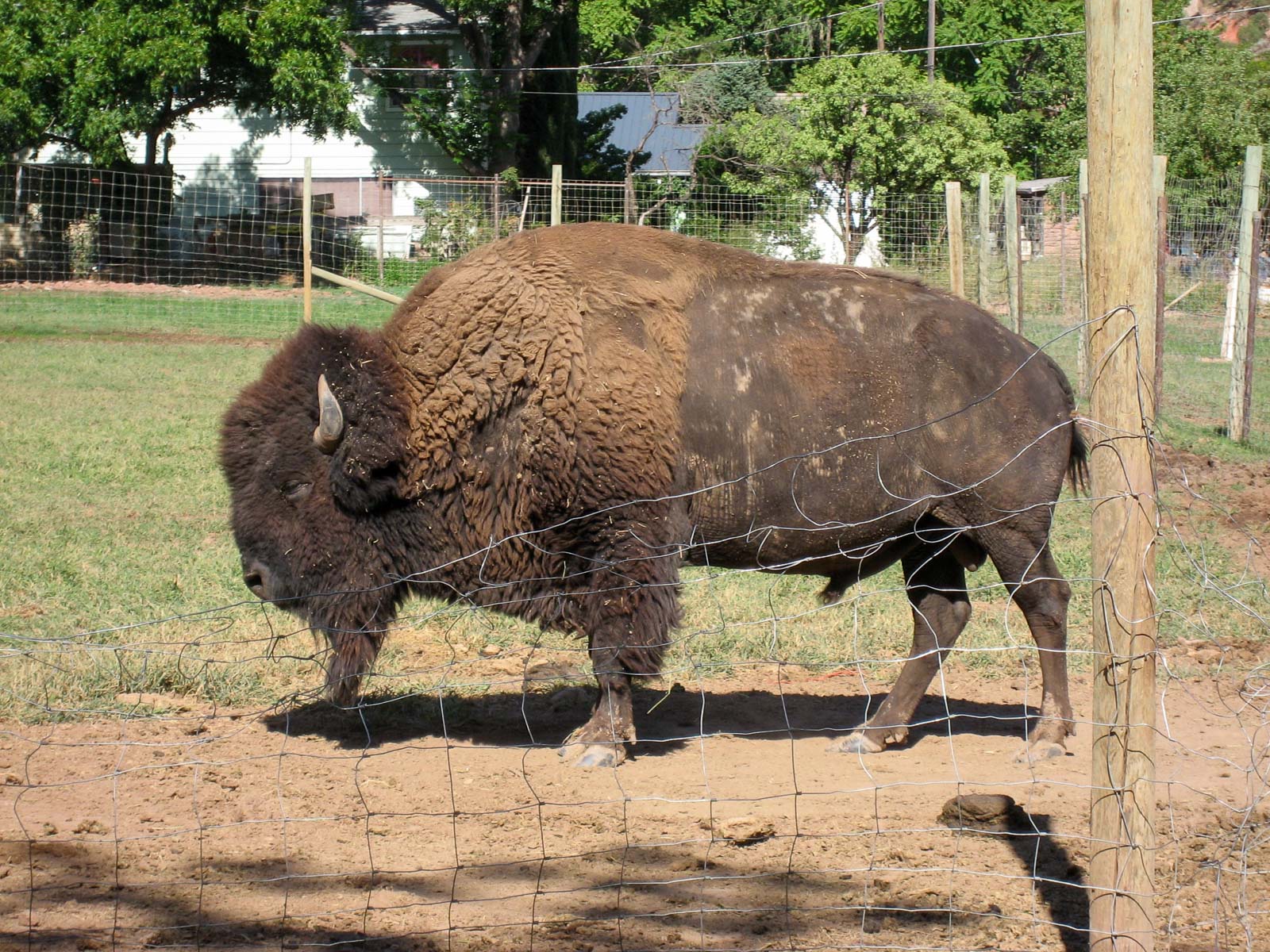 11 USA 2008 fabien et leslie 1502